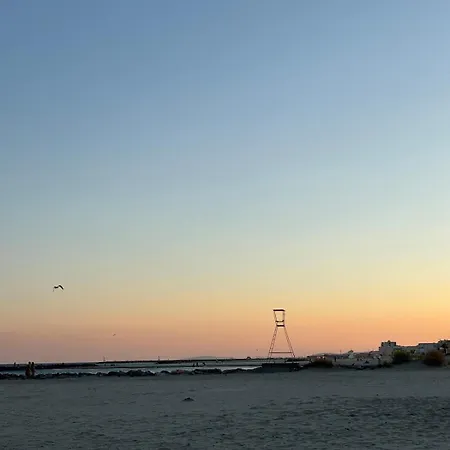 A 1min A Pied De La Mer, Lumineux & Cosy * カルノン・プラージュ